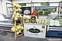 VBS_2889 - Cheese 2023 - Bra